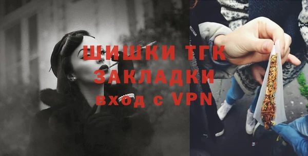 прущие крисы Абаза