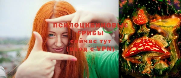 гидра Абинск
