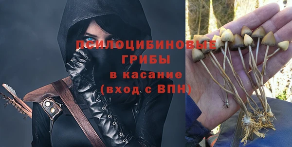прущие крисы Абаза